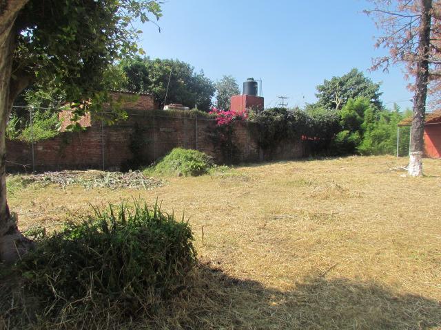4 de 7