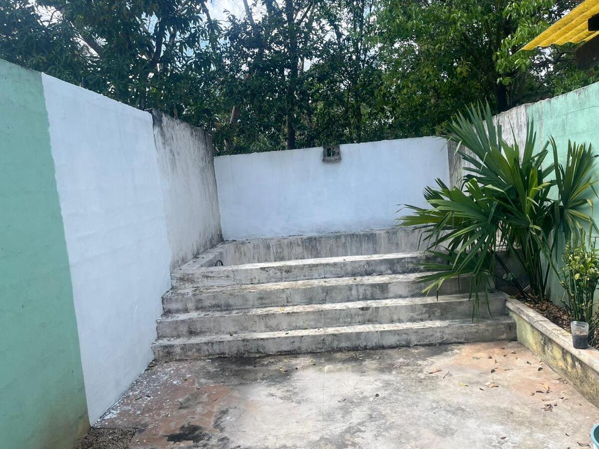 6 de 6