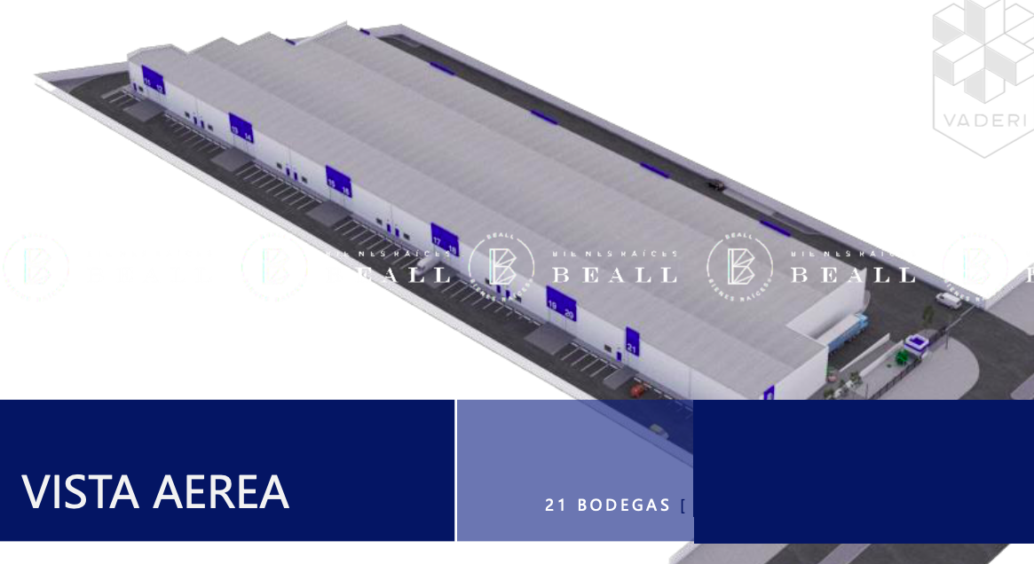 7 de 8