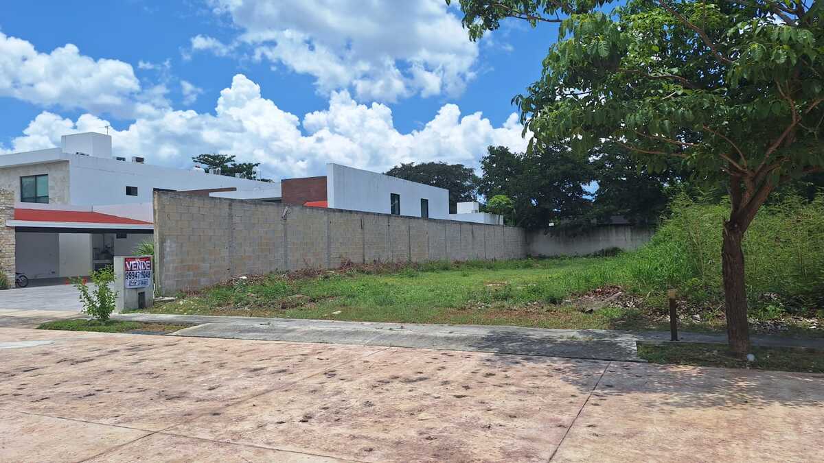 3 de 10
