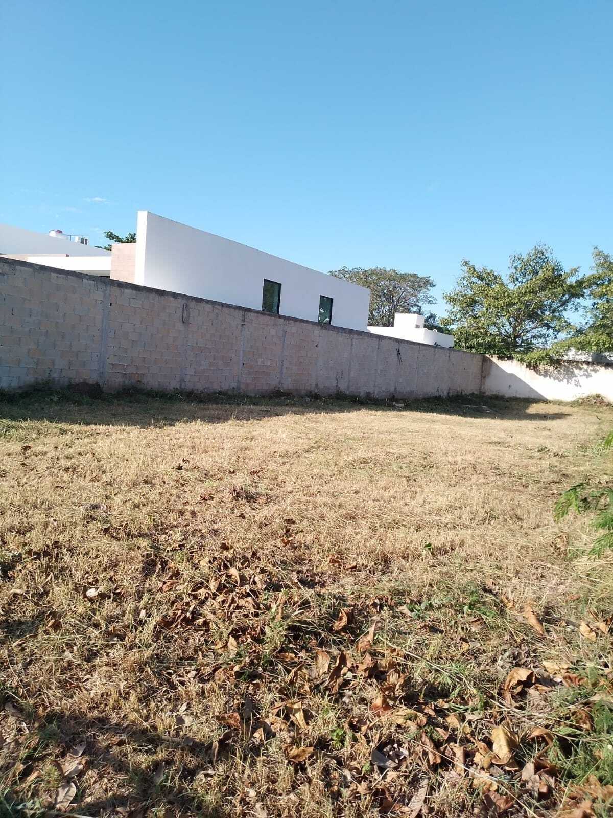 10 de 10