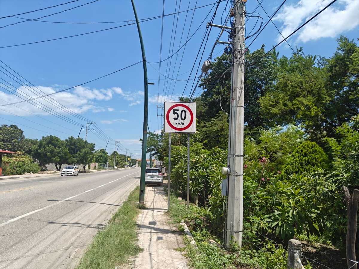 3 de 22