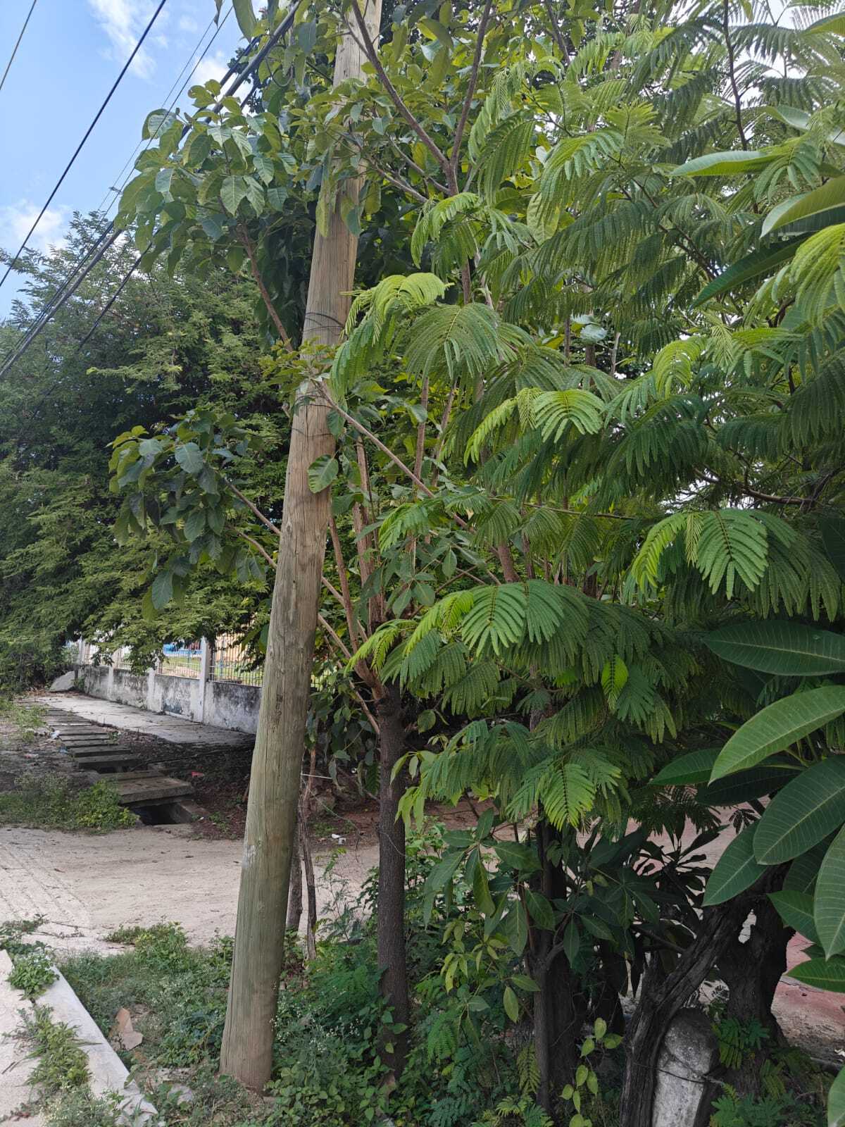 4 de 22