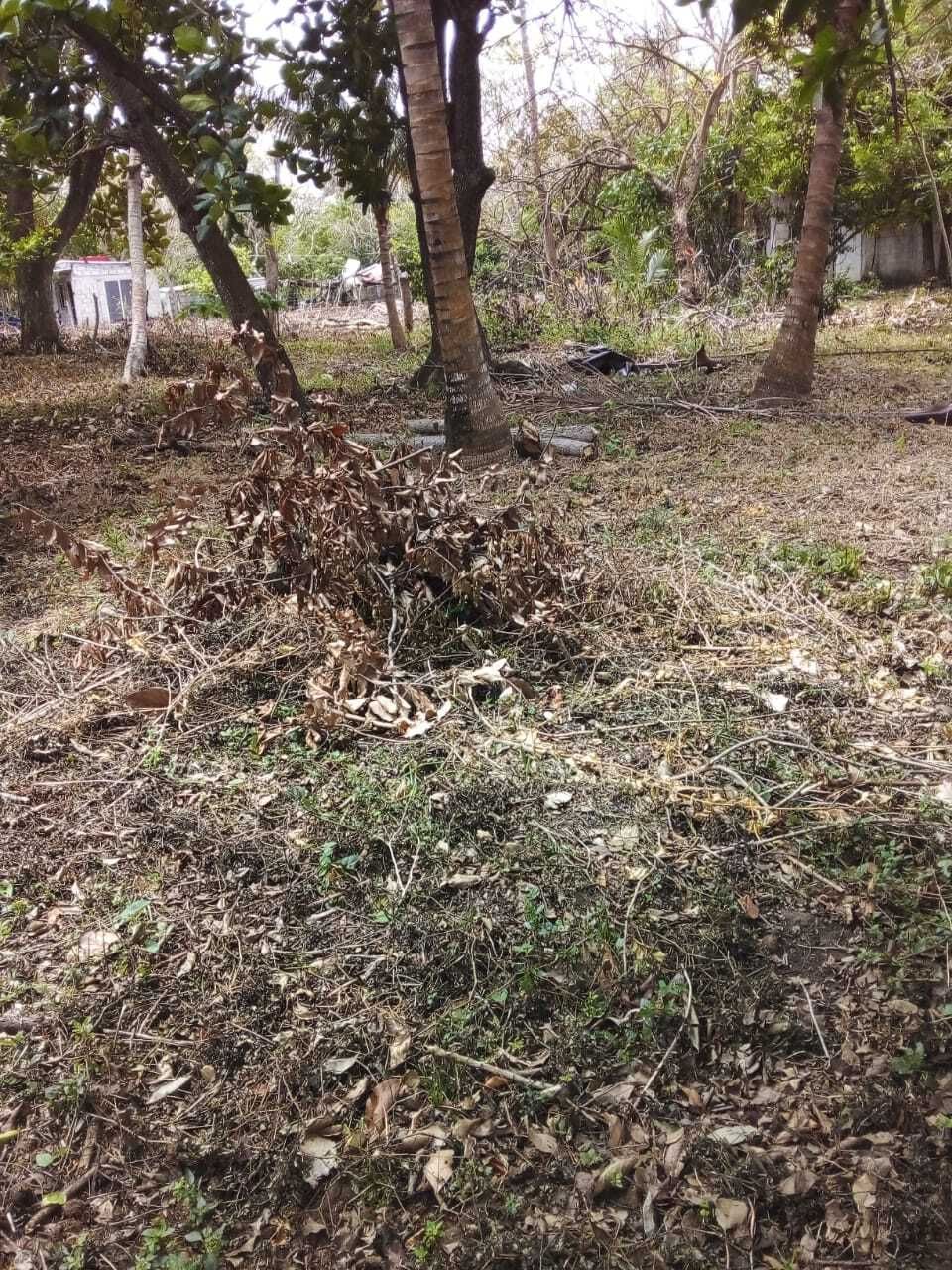 Terreno de 260 m2 en venta en Localidad La Aguada. ALVARADO, VER