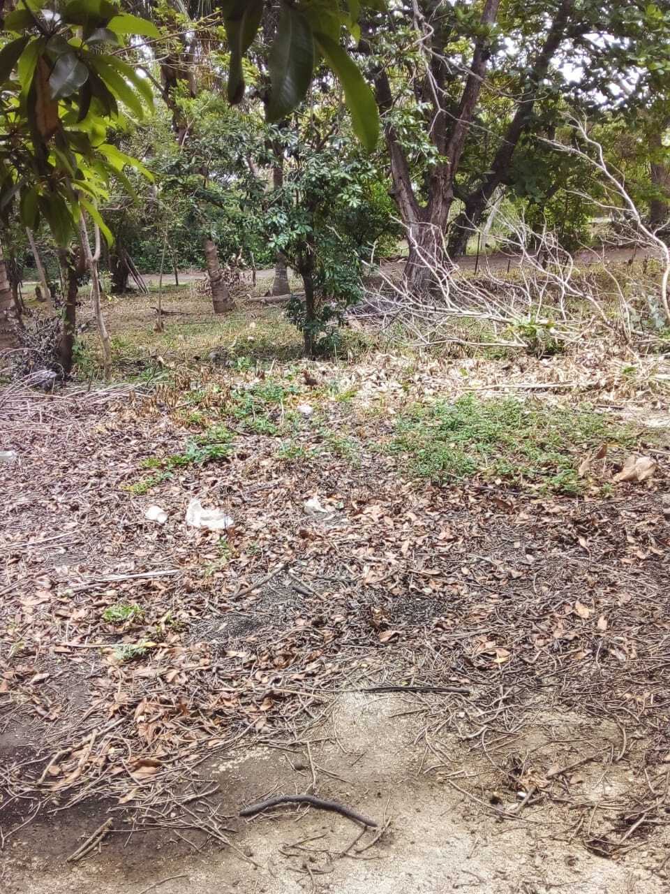 4 de 6