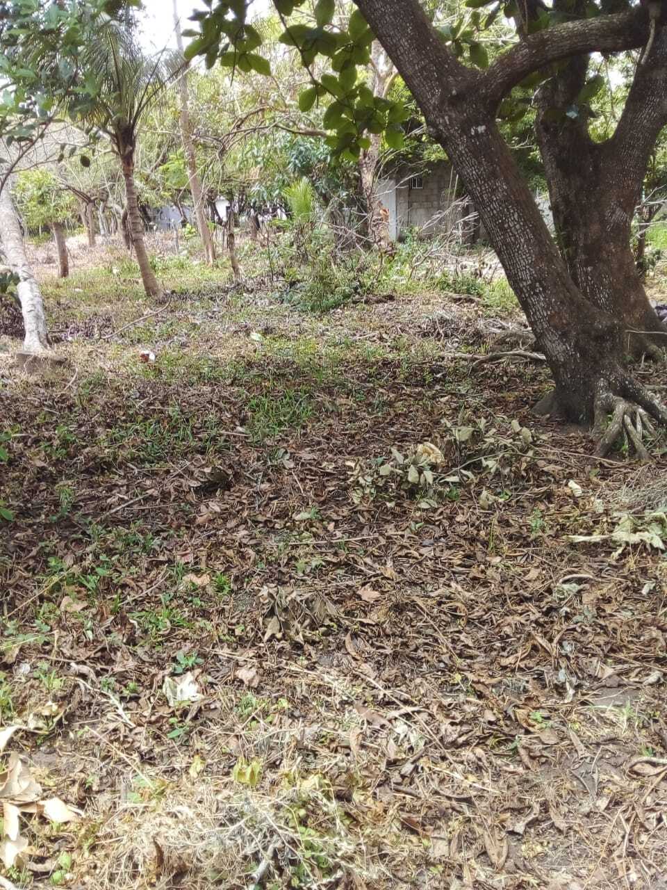 5 de 6