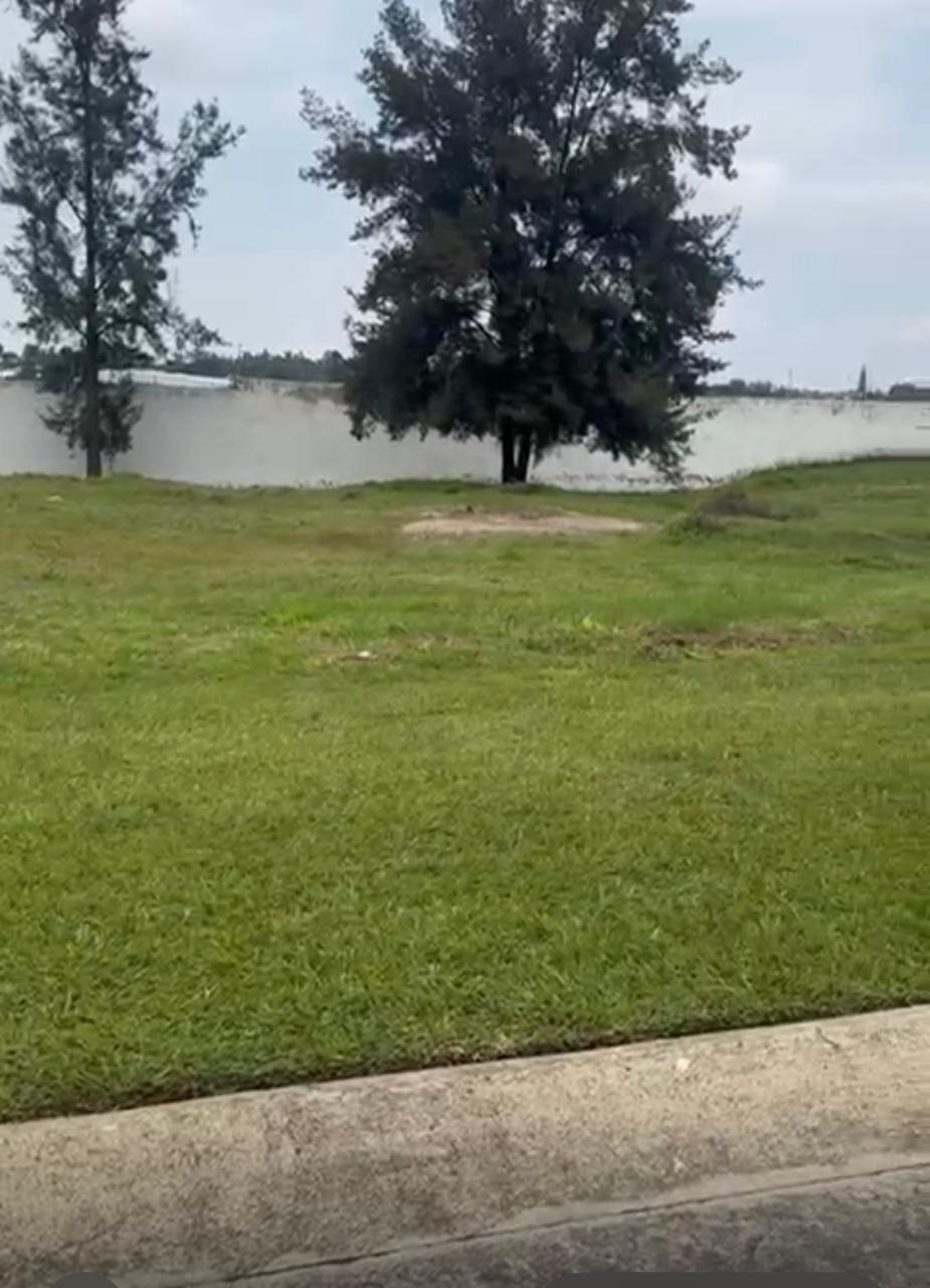 4 de 6