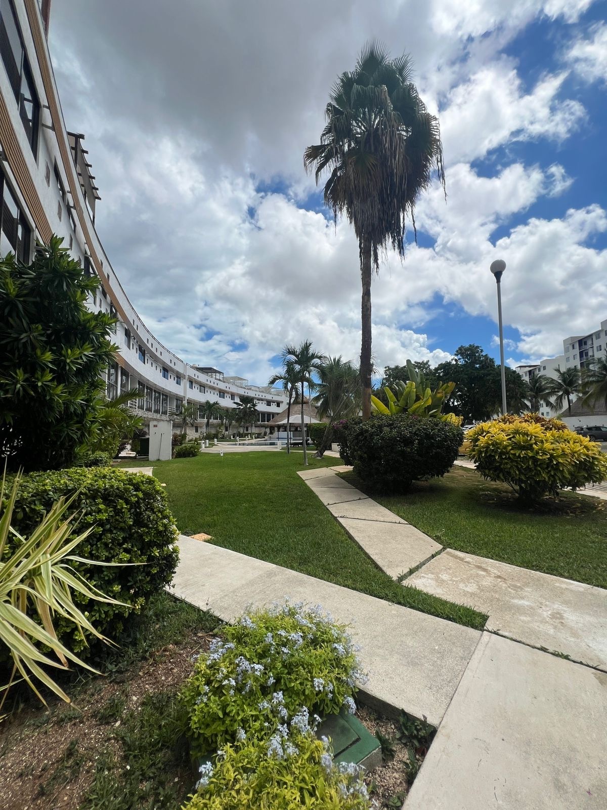 2 de 25