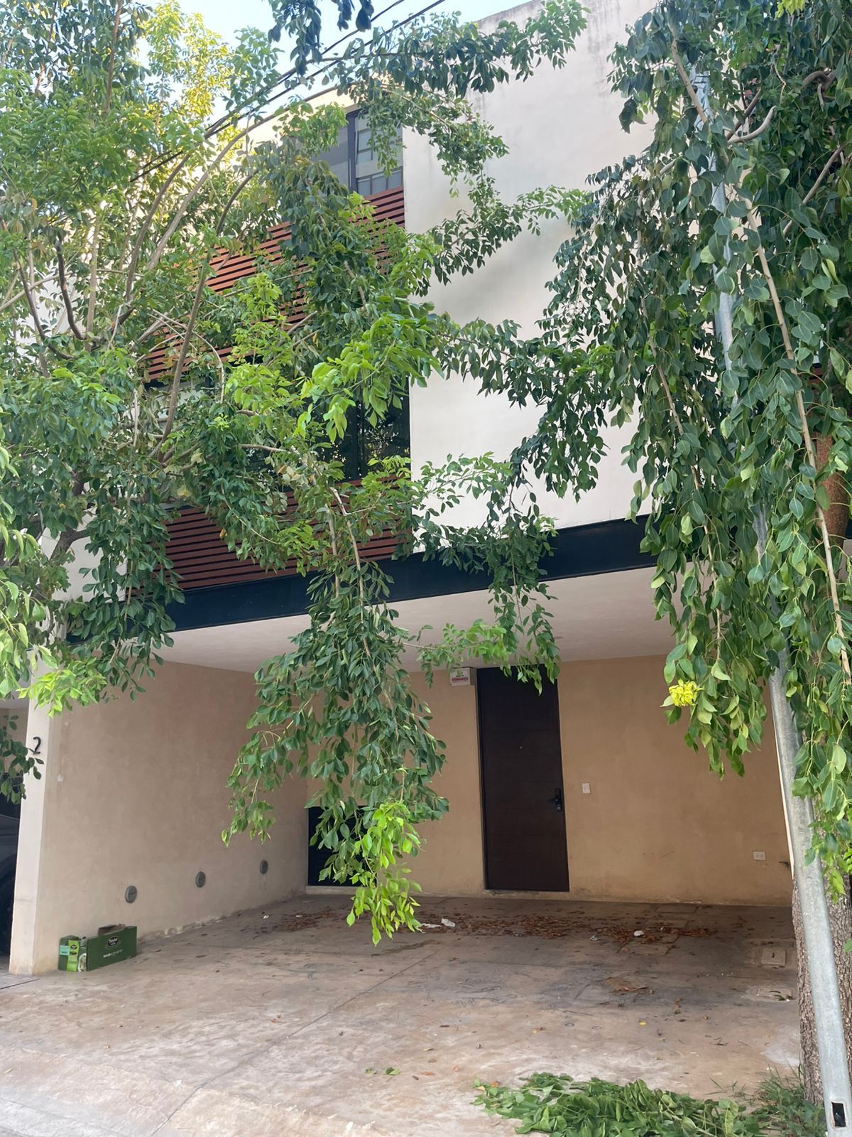 11 de 11