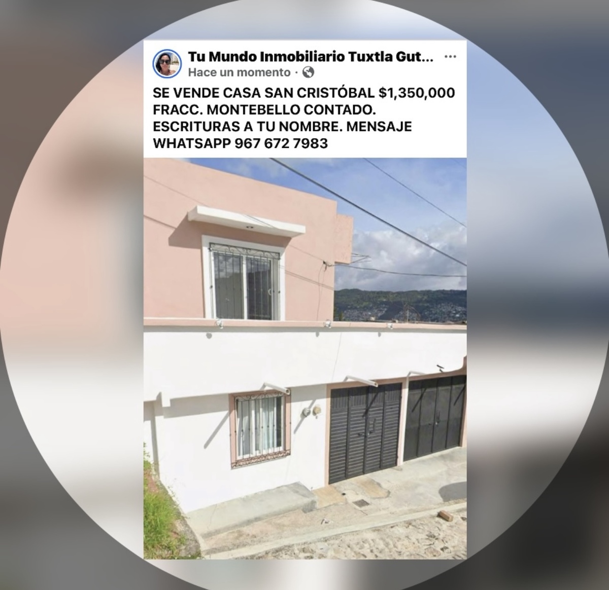 8 de 29