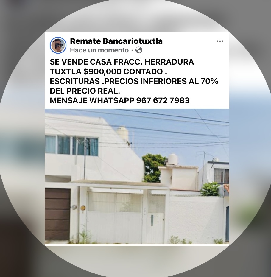 24 de 29