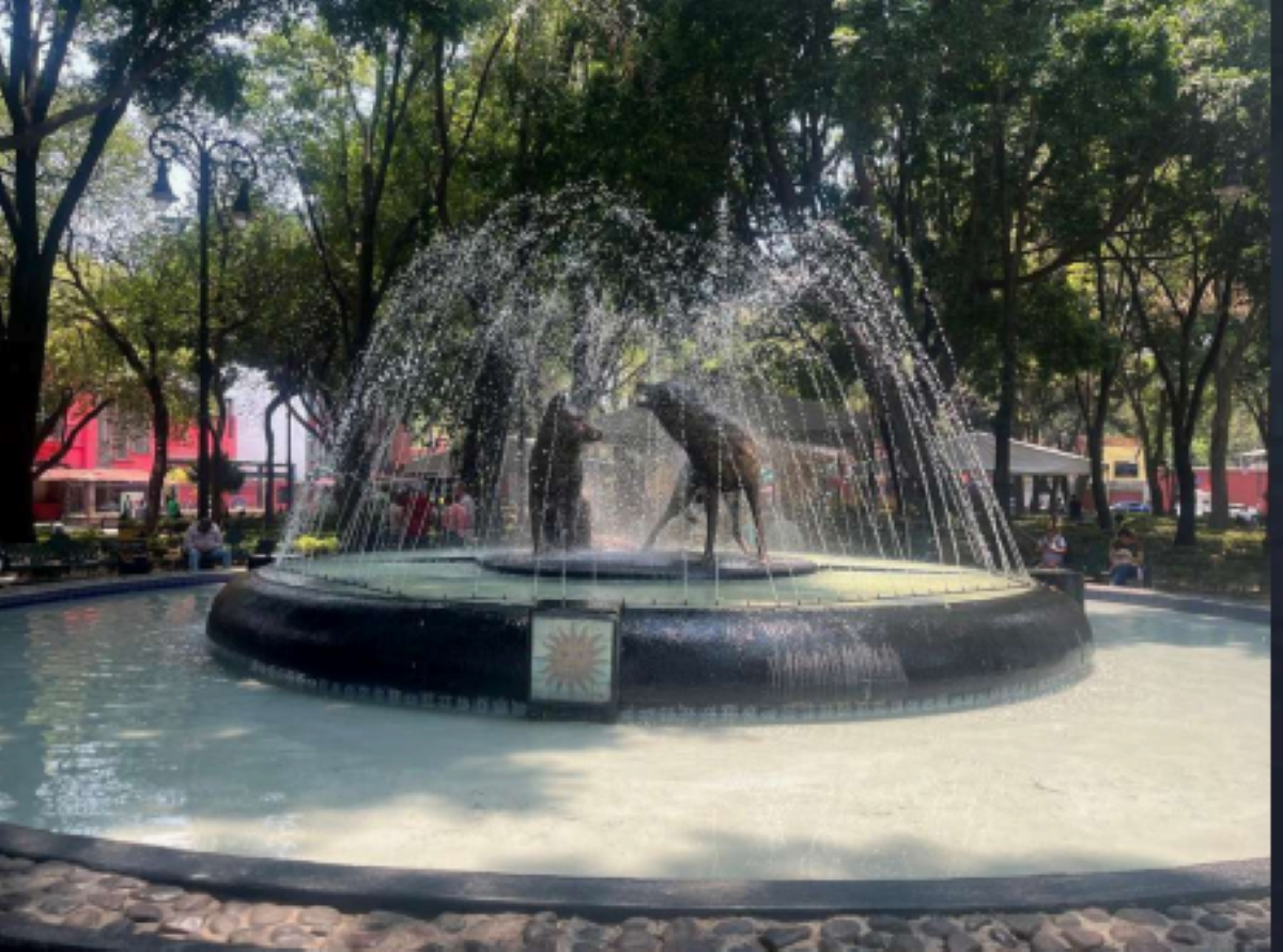 5 de 27