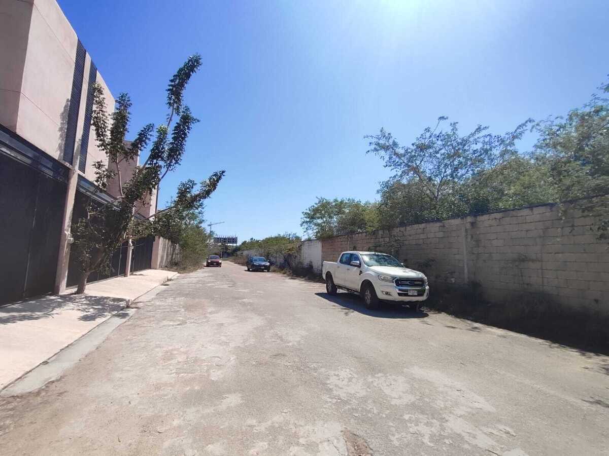 4 de 17