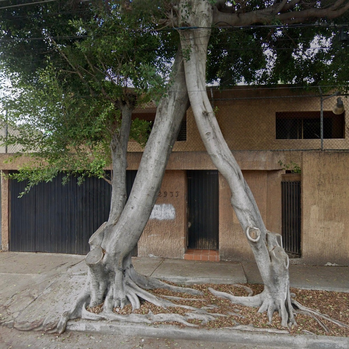 1 de 12: Fachada de casa en Bosques de la Victoria
