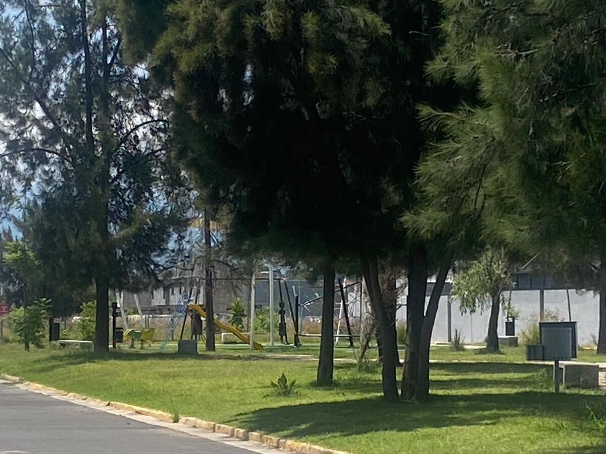 5 de 24