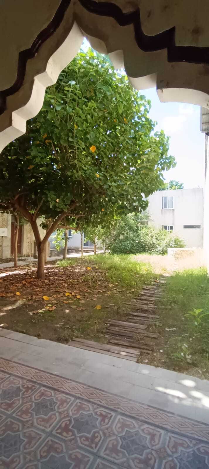 4 de 26