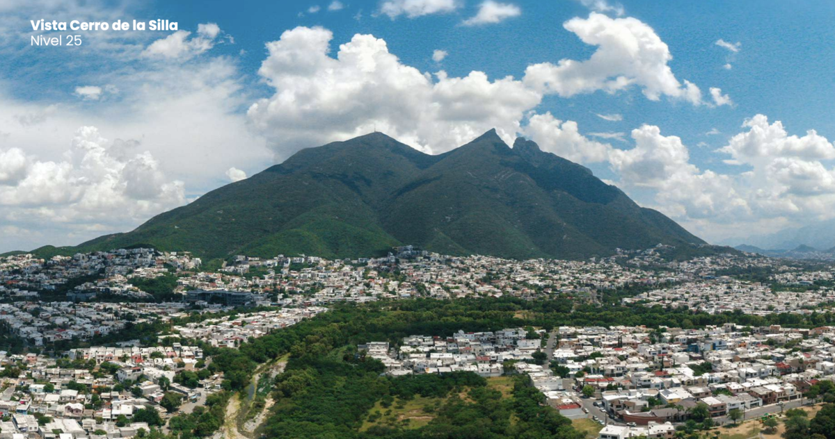 6 de 24