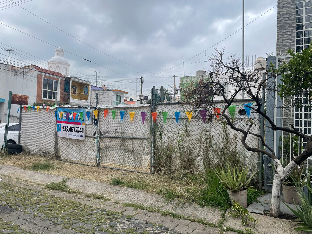 3 de 11