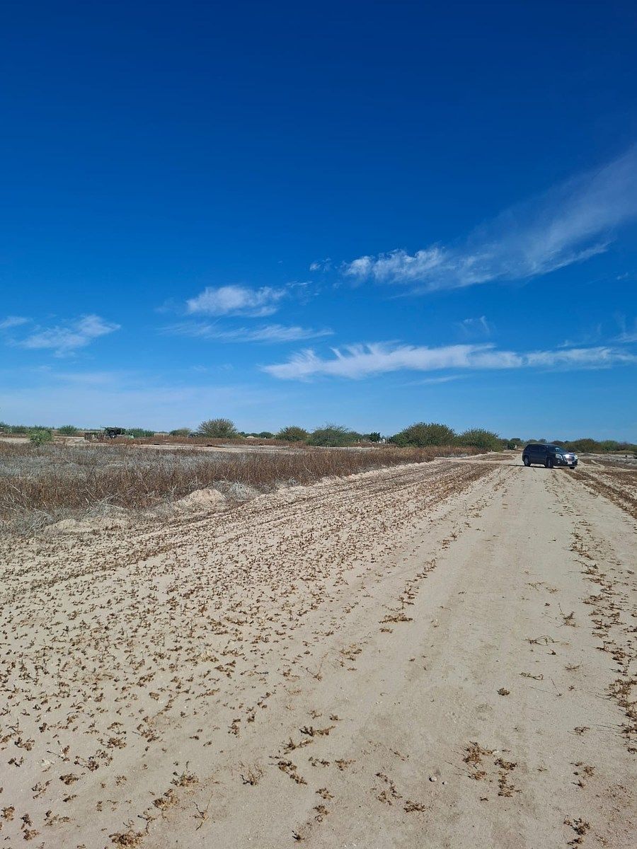 Lote em Chametla, La Paz, foto 13 de 13