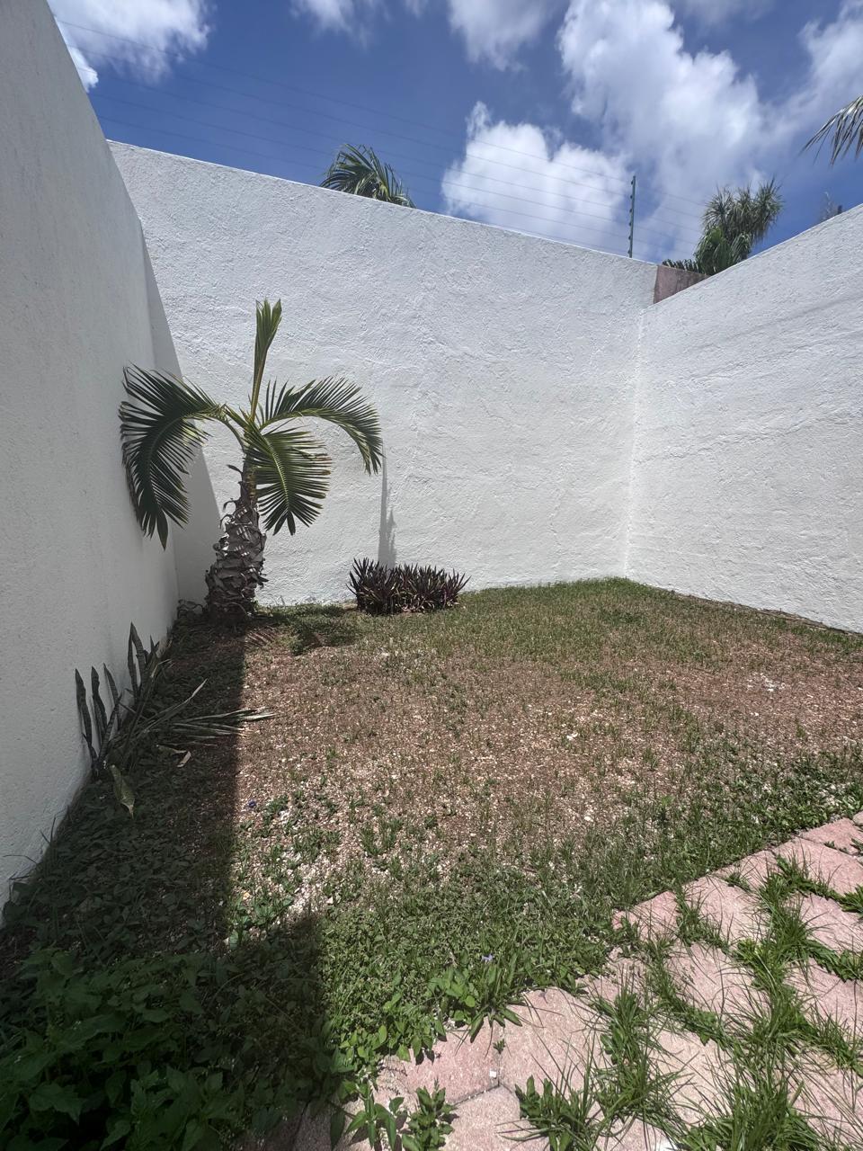 3 de 33