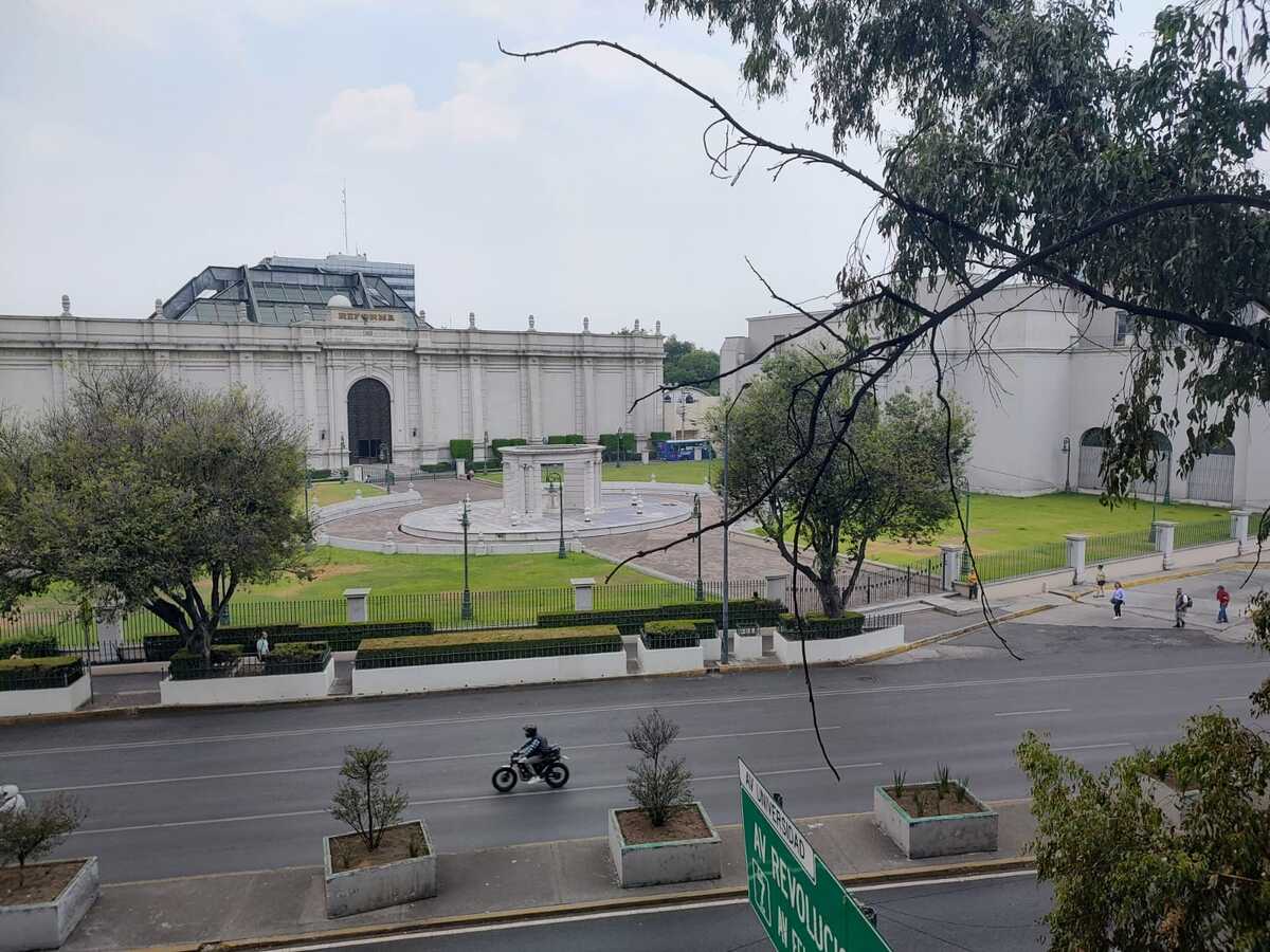 12 de 20