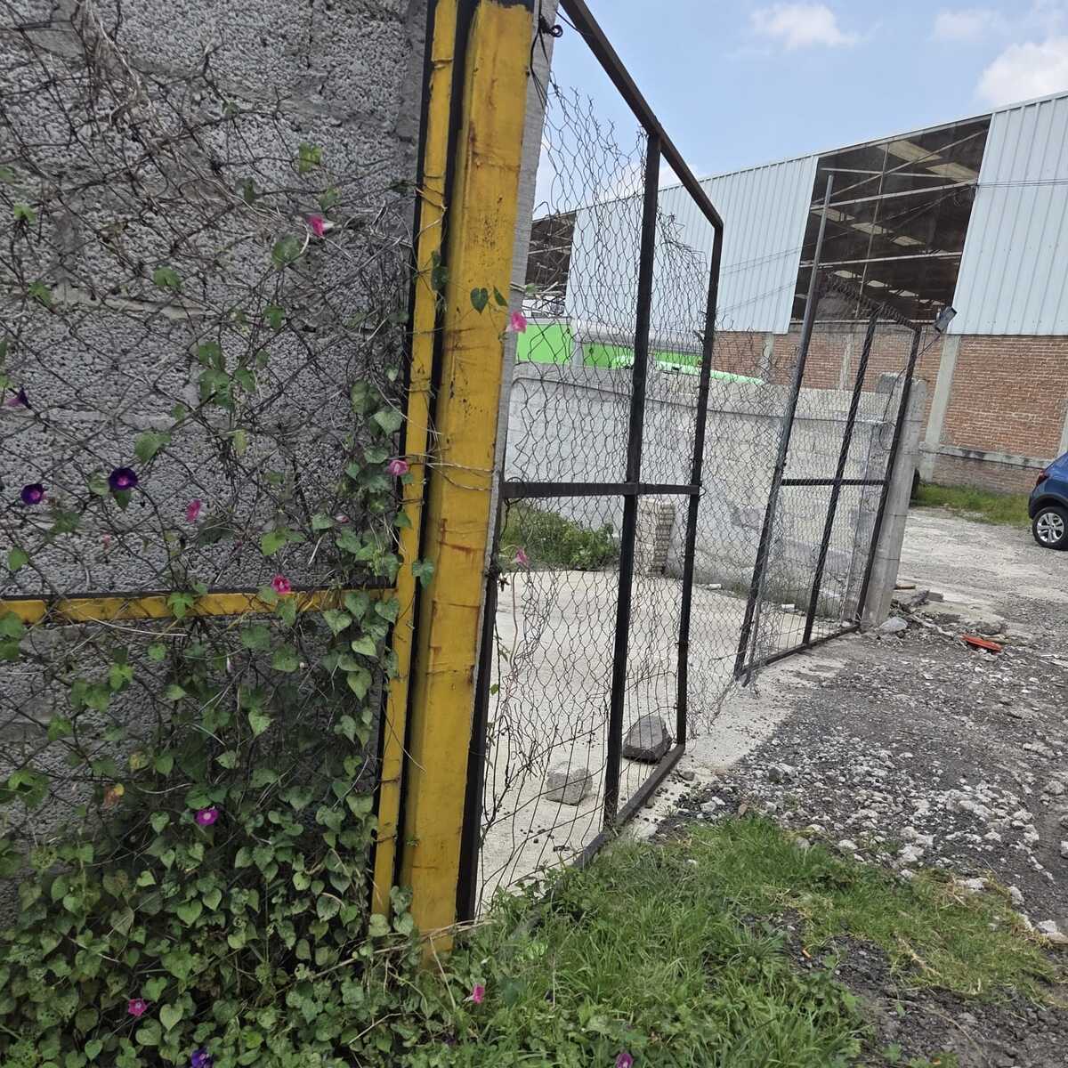 11 de 13