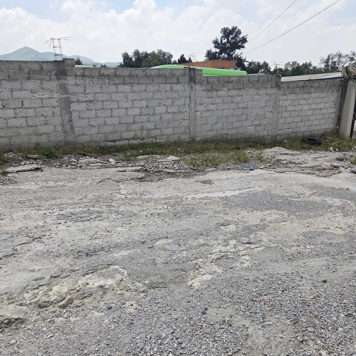 12 de 13