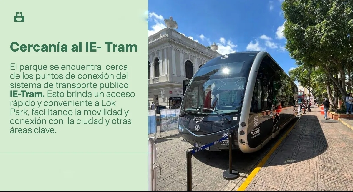 4 de 7: Conectividad