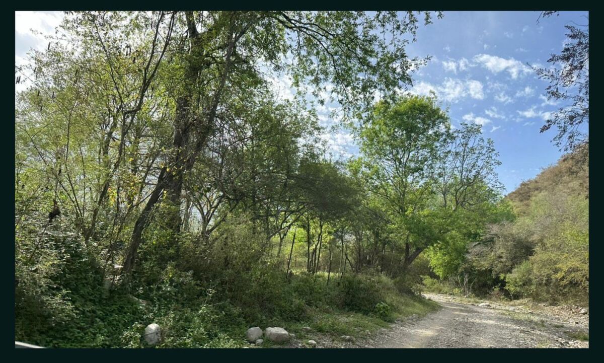 4 de 11
