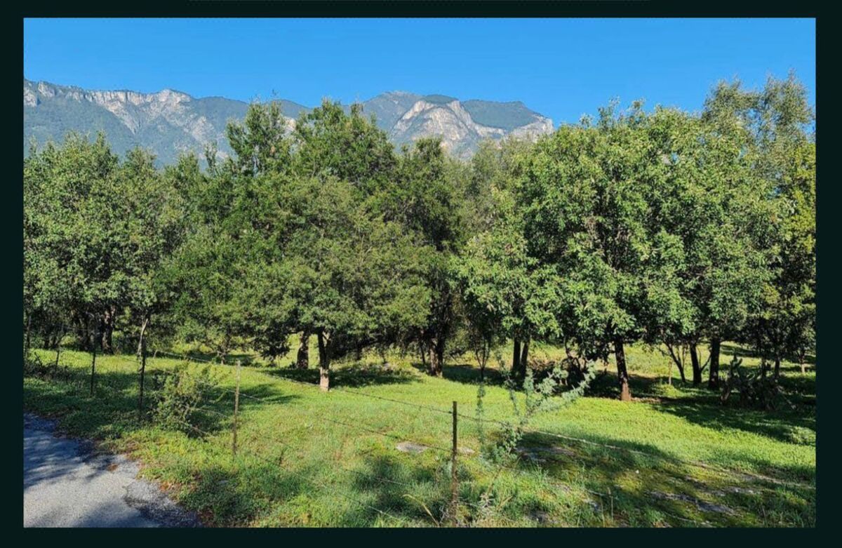 Terreno en Venta Zona Carretera Nacional