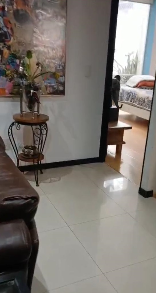4 de 19