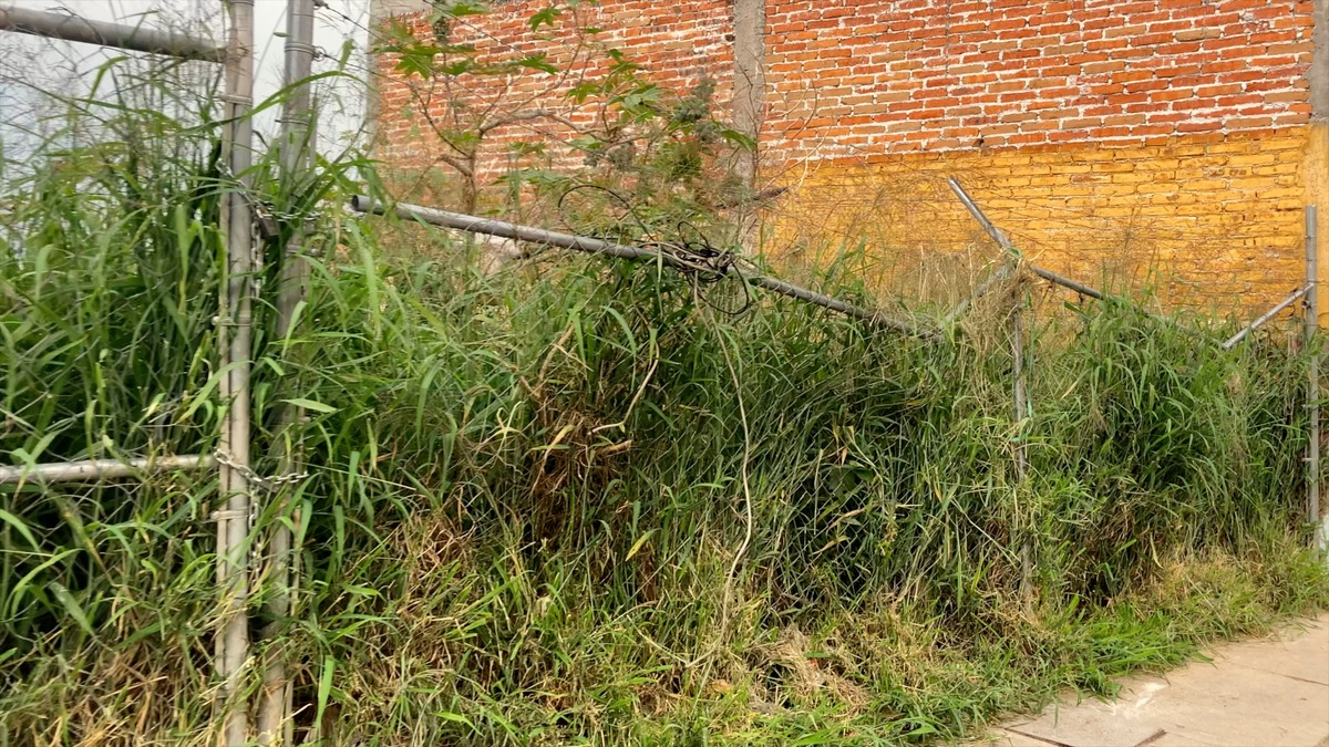4 de 10