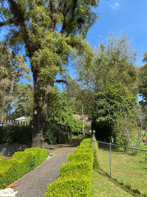5 de 26