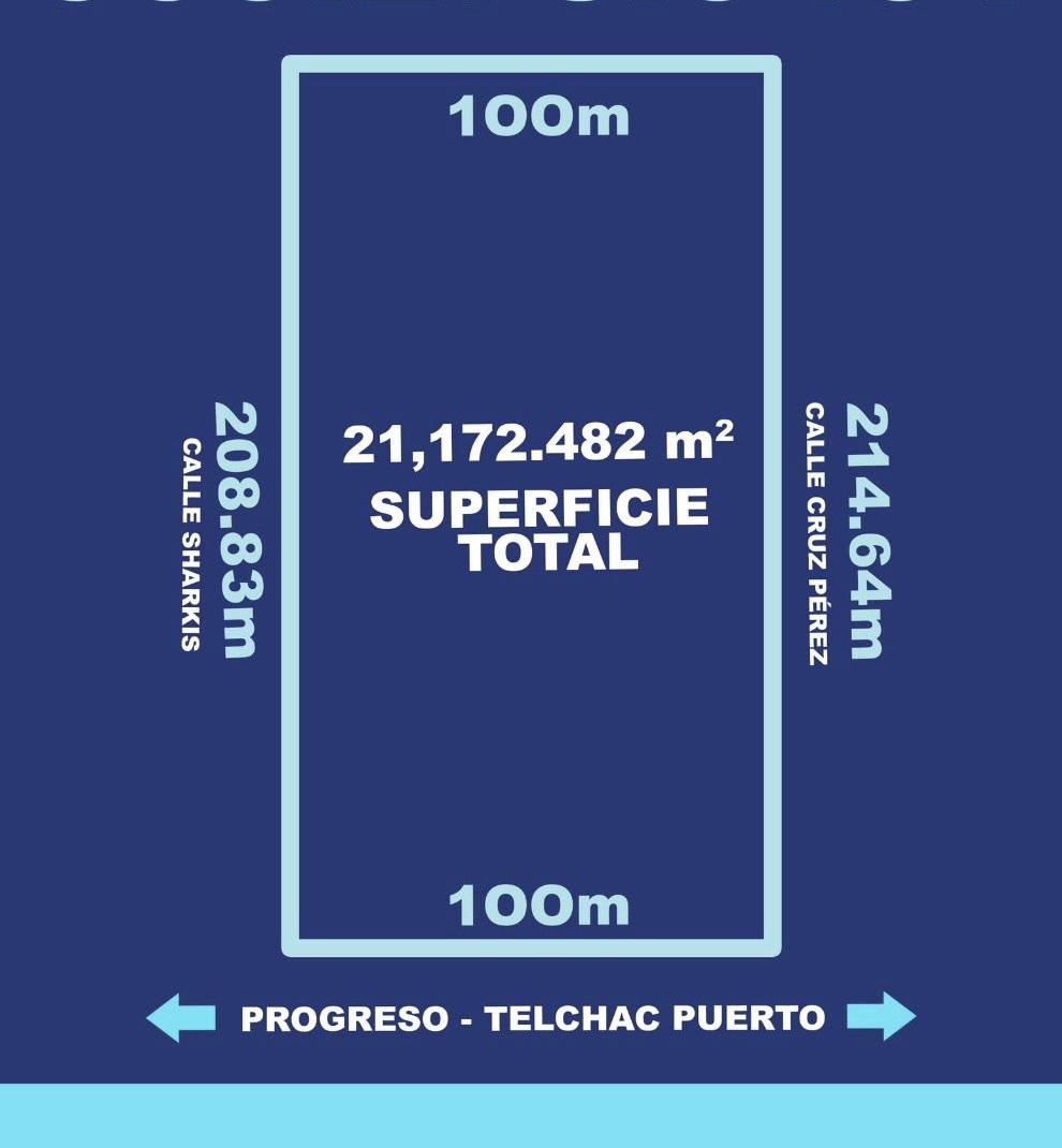 2 de 4