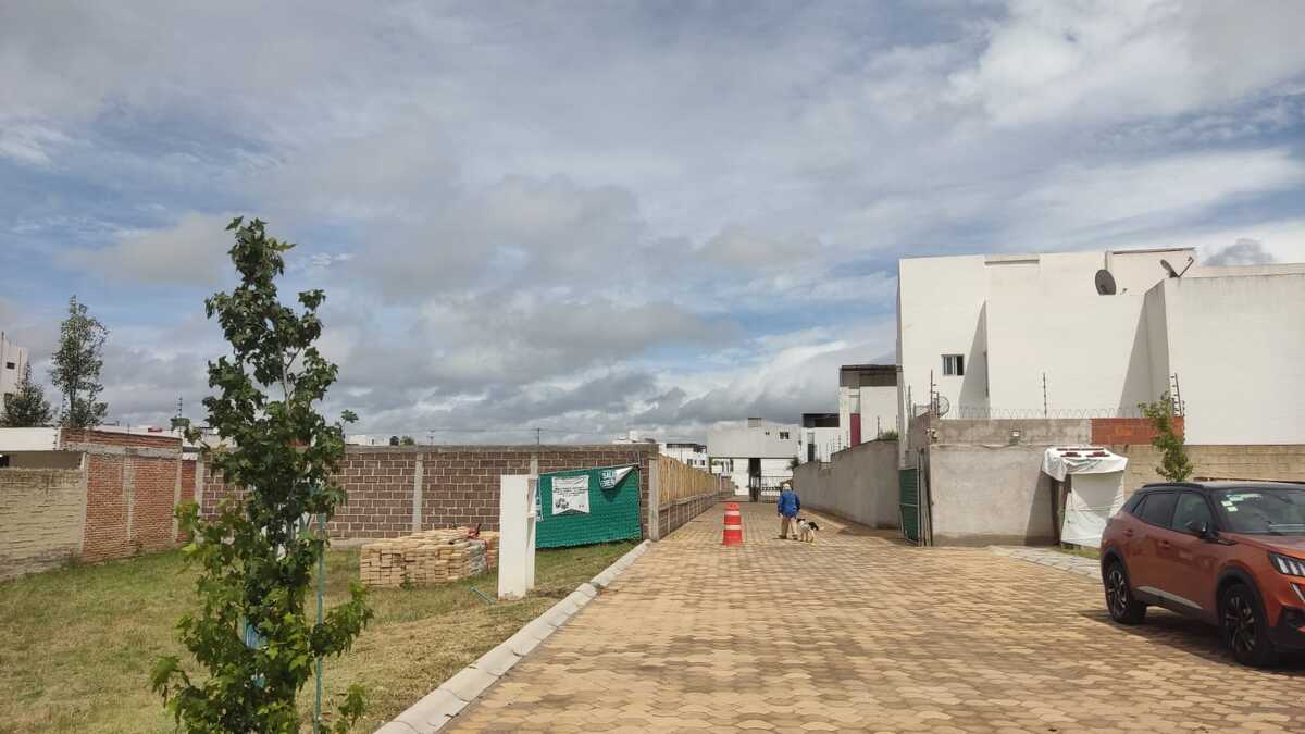 2 de 11
