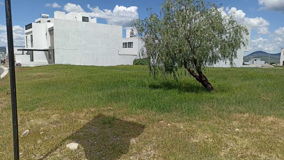 4 de 12