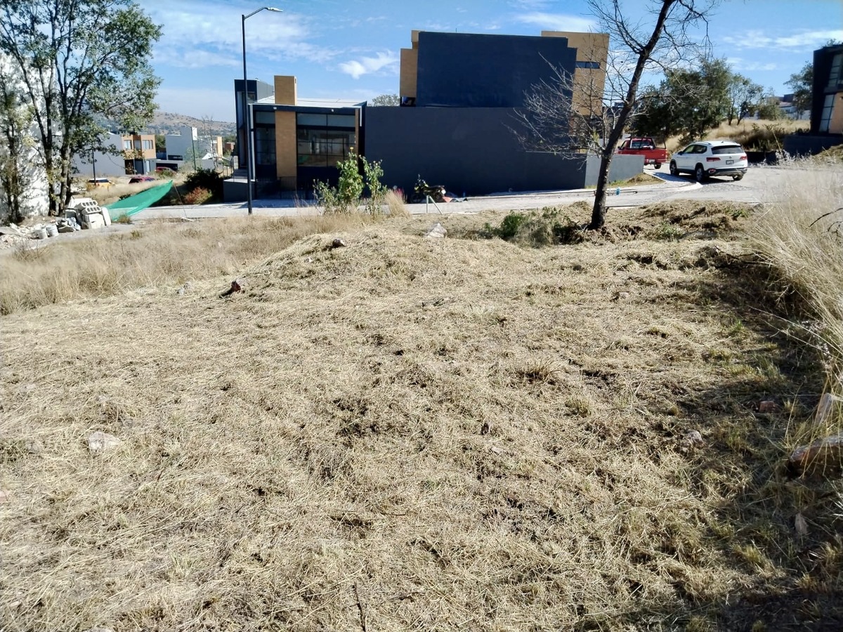 5 de 10