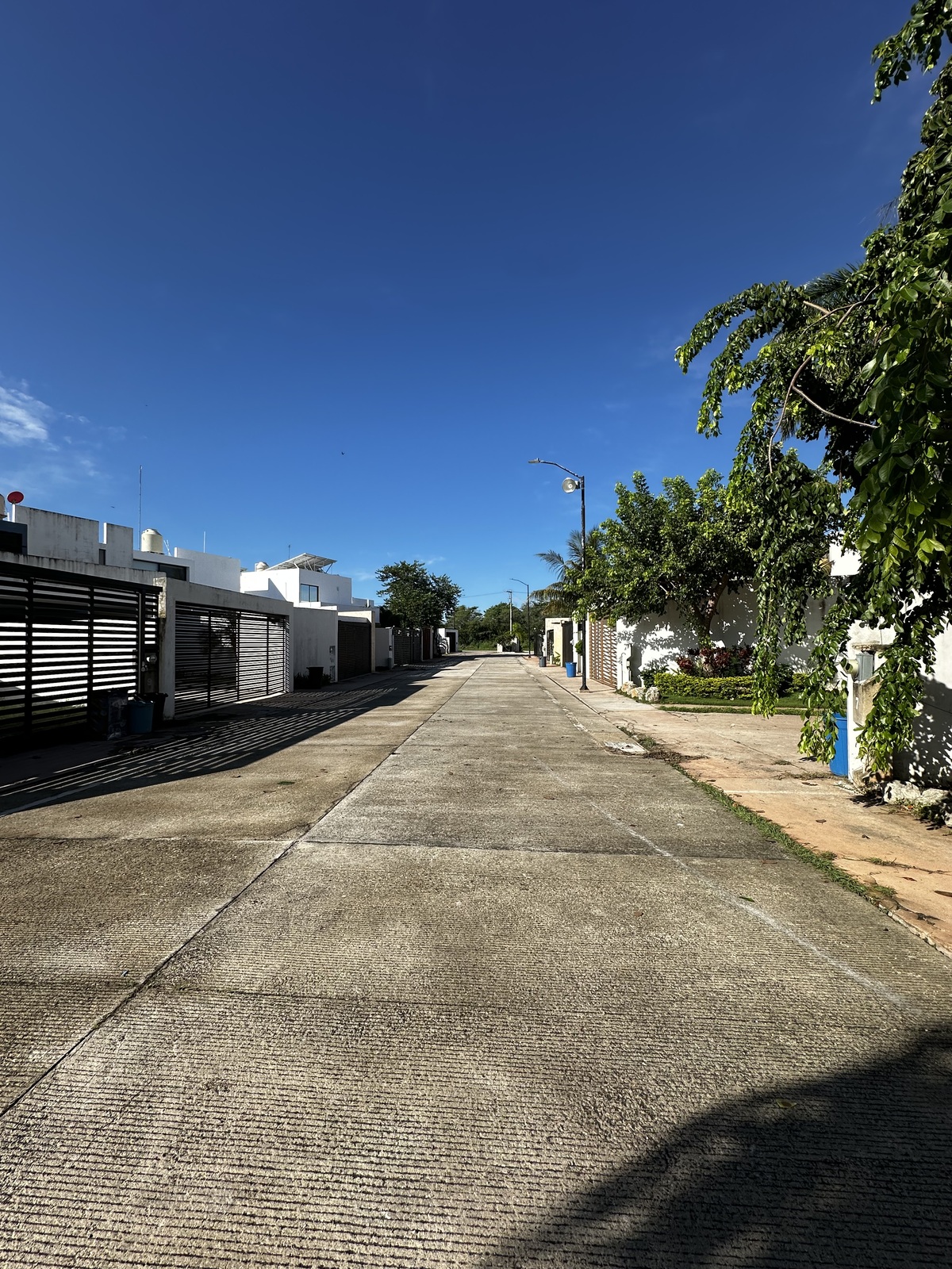 4 de 31