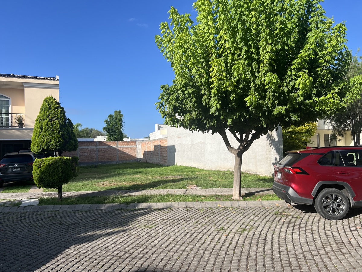 5 de 5
