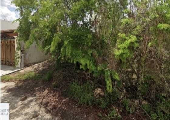 Terreno venta Residencial Campestre Viladiu, Mérida Yucatán - foto 5