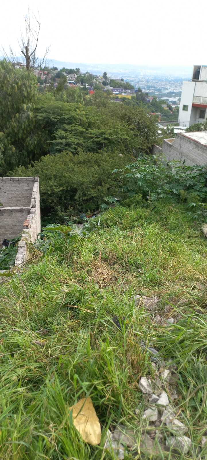 5 de 8