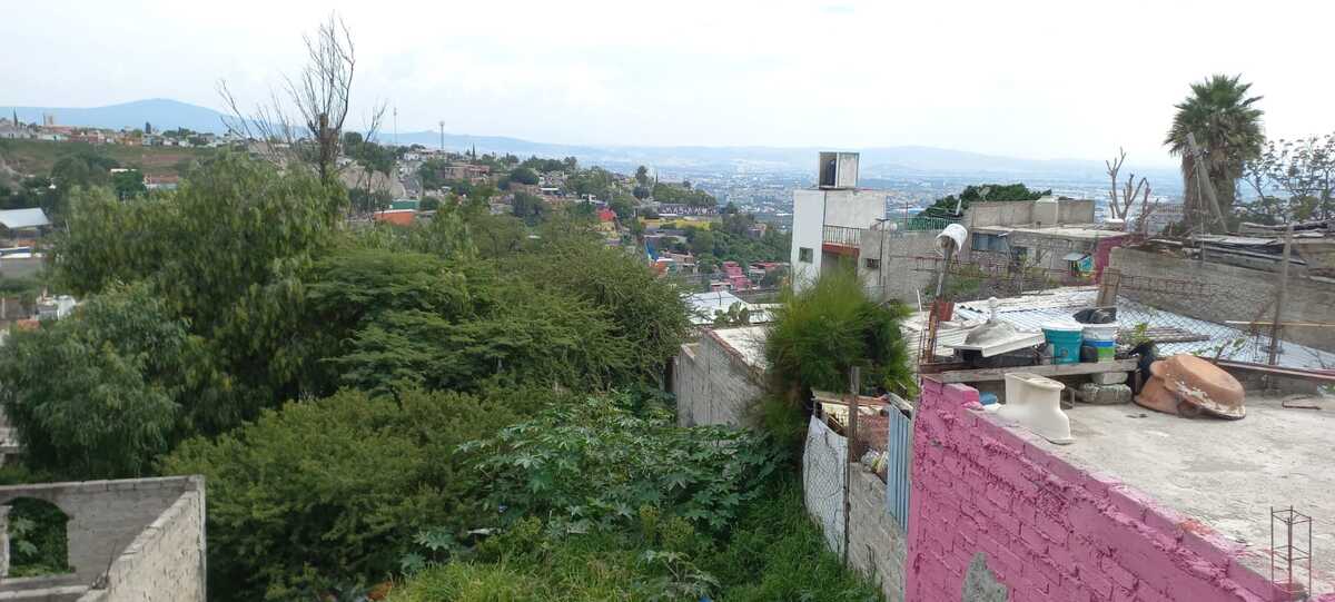 6 de 8