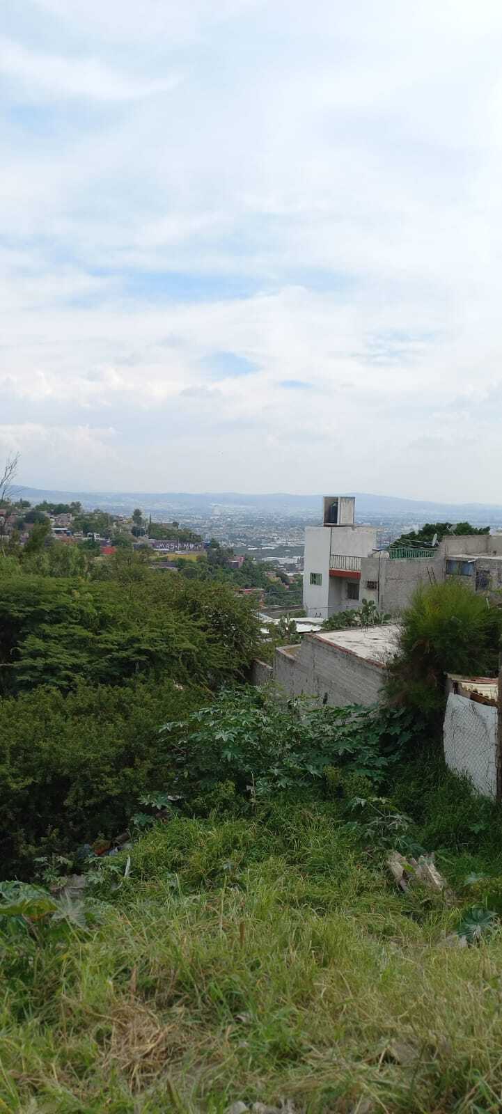 7 de 8