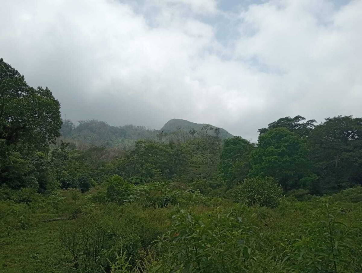 7 de 8