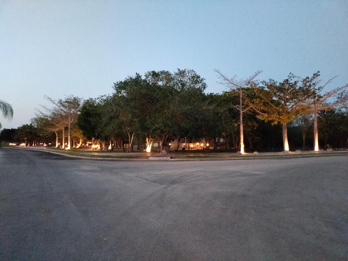 4 de 4