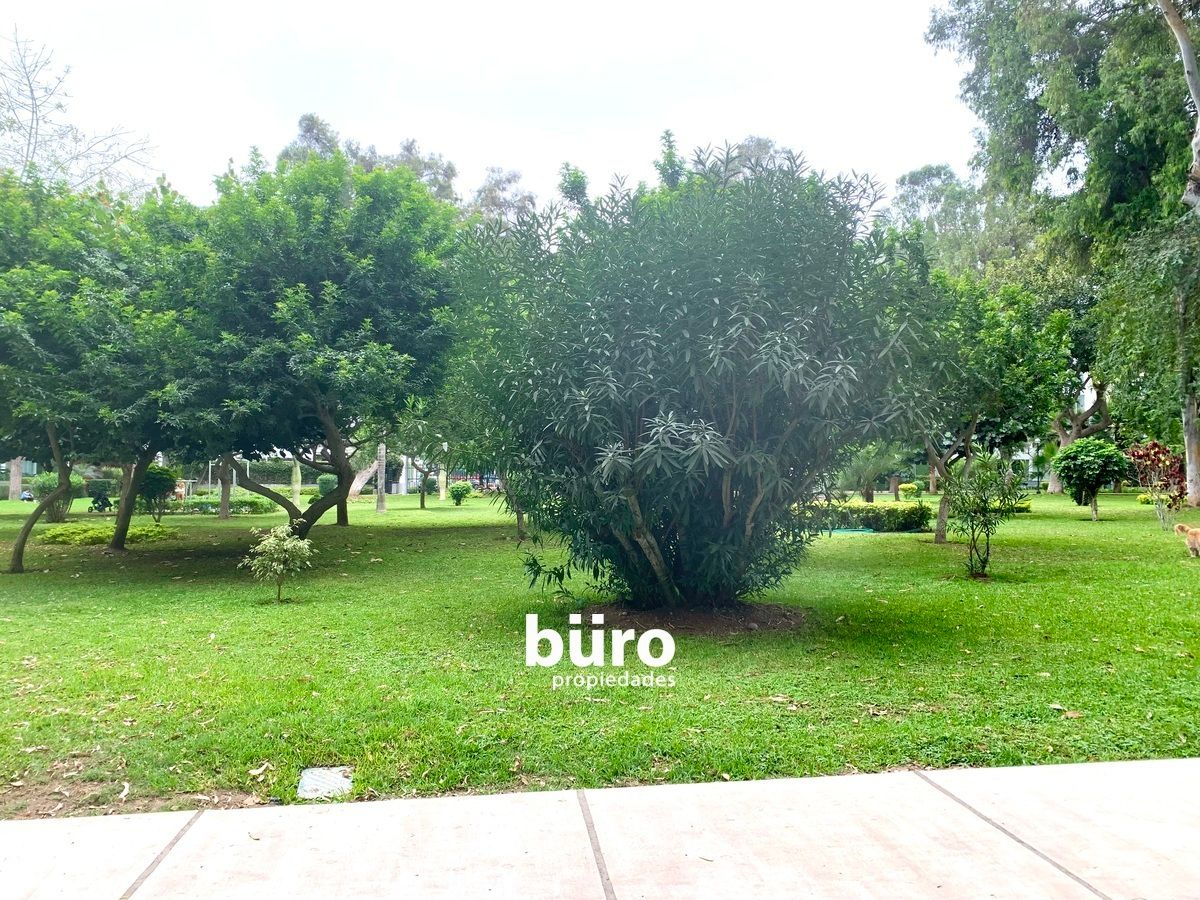 9 de 16: Salida directa a parque Blume