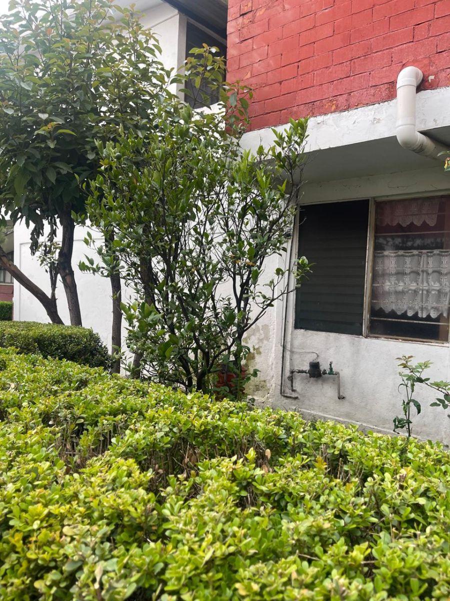 5 de 8