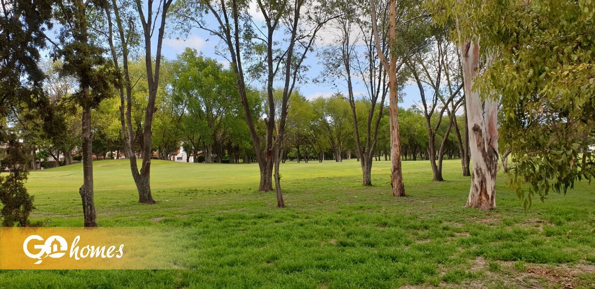 2 de 15