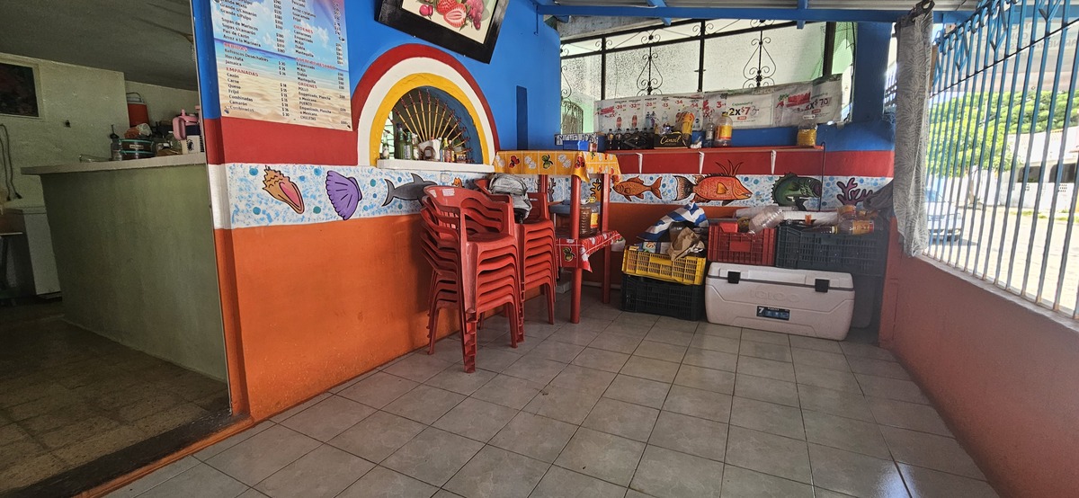 14 de 16