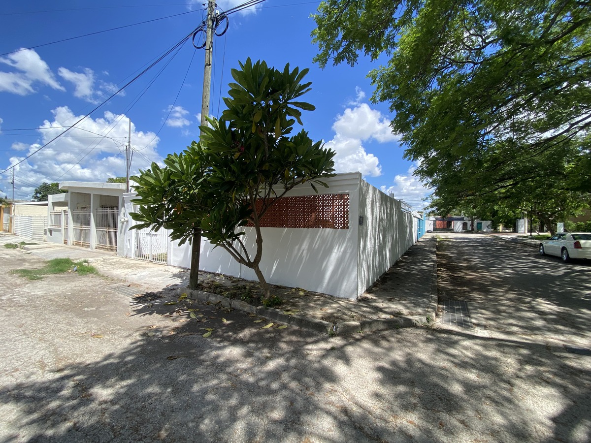 2 de 19